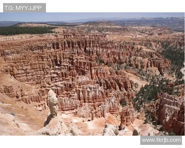 墨西哥美洲与多伦多的精彩对决结果揭晓引发热议